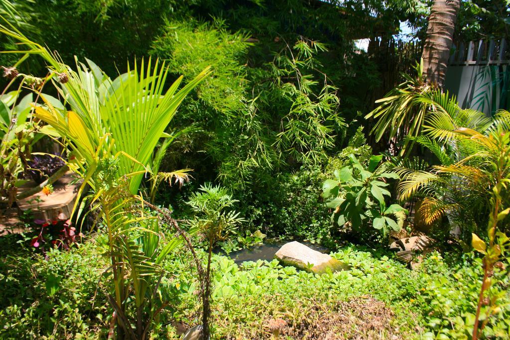 Firefly Guesthouse - The Berlin Angkor Siem Reap Ngoại thất bức ảnh