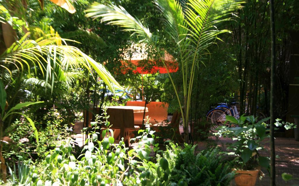 Firefly Guesthouse - The Berlin Angkor Siem Reap Ngoại thất bức ảnh