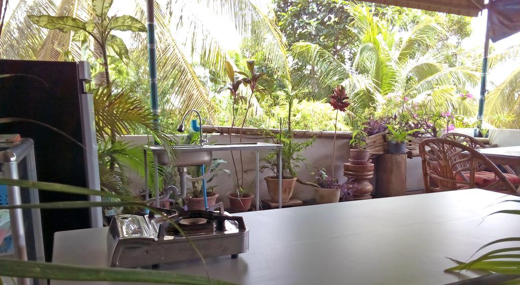 Firefly Guesthouse - The Berlin Angkor Siem Reap Ngoại thất bức ảnh
