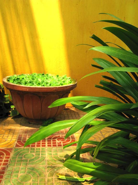 Firefly Guesthouse - The Berlin Angkor Siem Reap Ngoại thất bức ảnh